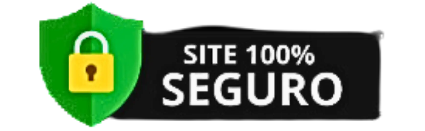 8.1 img site seguro